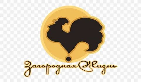 Телеканал жизнь