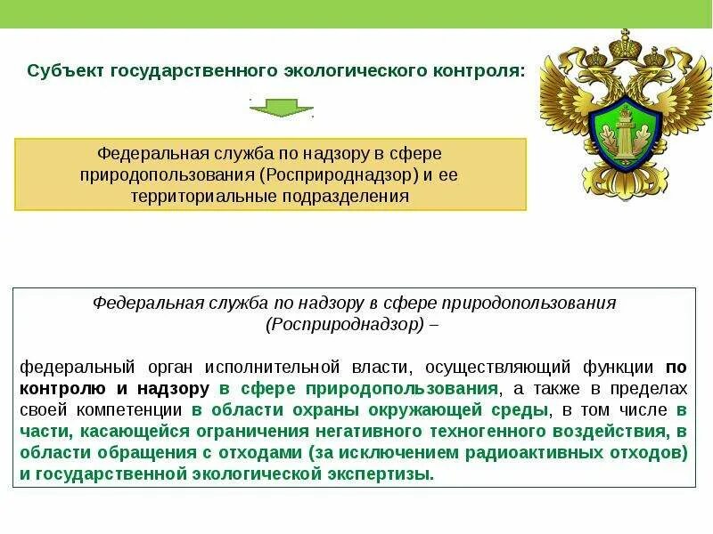 Кем осуществляется экологический контроль