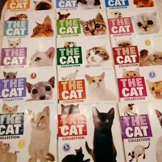 The cat collection