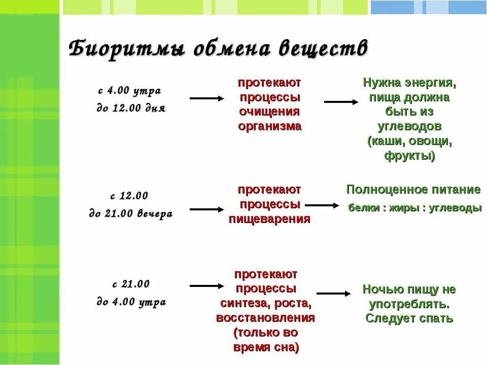 Время отдыха организма. Биологические ритмы организма человека. Биоритмы человека. Биологические часы органов человека по часам. Биоритмы активности человека.