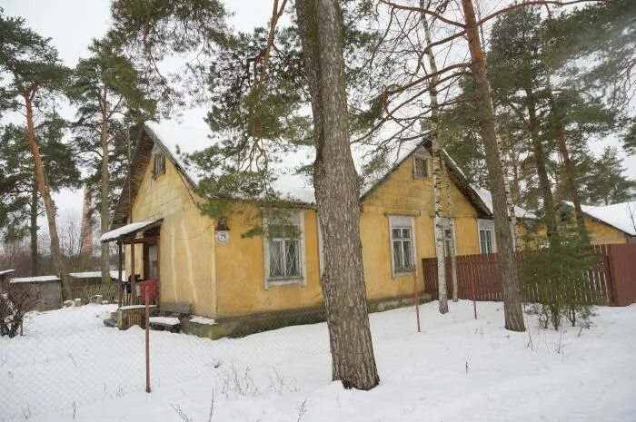 Погода в большой ижоре. Большая Ижора Ломоносовский район. Поселок большая Ижора Ленинградская область. Большая Ижора Ленинградская область музей. Большая Ижора 1950.