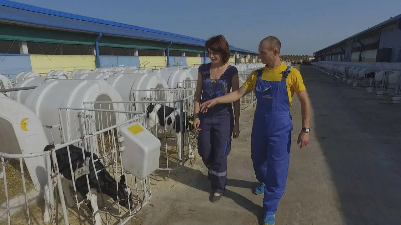 Спк прогресс вертелишки. Вертелишки. спк прогресс нижегородская область. спк гродно. спк прогресс ст.владимирская краснодарский край.