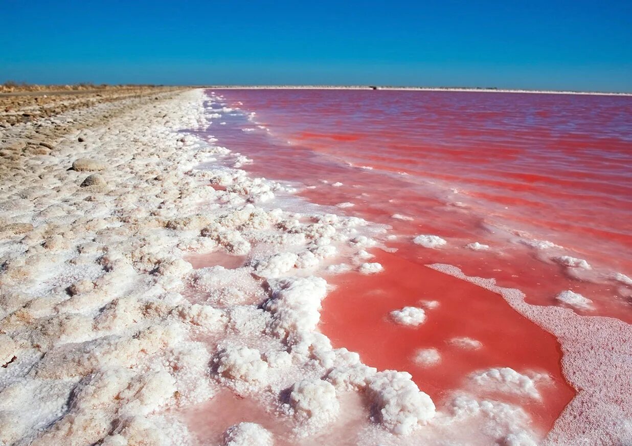 В самых крупных соленых озерах. Озеро Хиллер (остров Миддл). Розовое озеро Хиллер Австралия. Озеро Хиллер (hillier), Австралия. Розовое озеро Алтай Яровое.