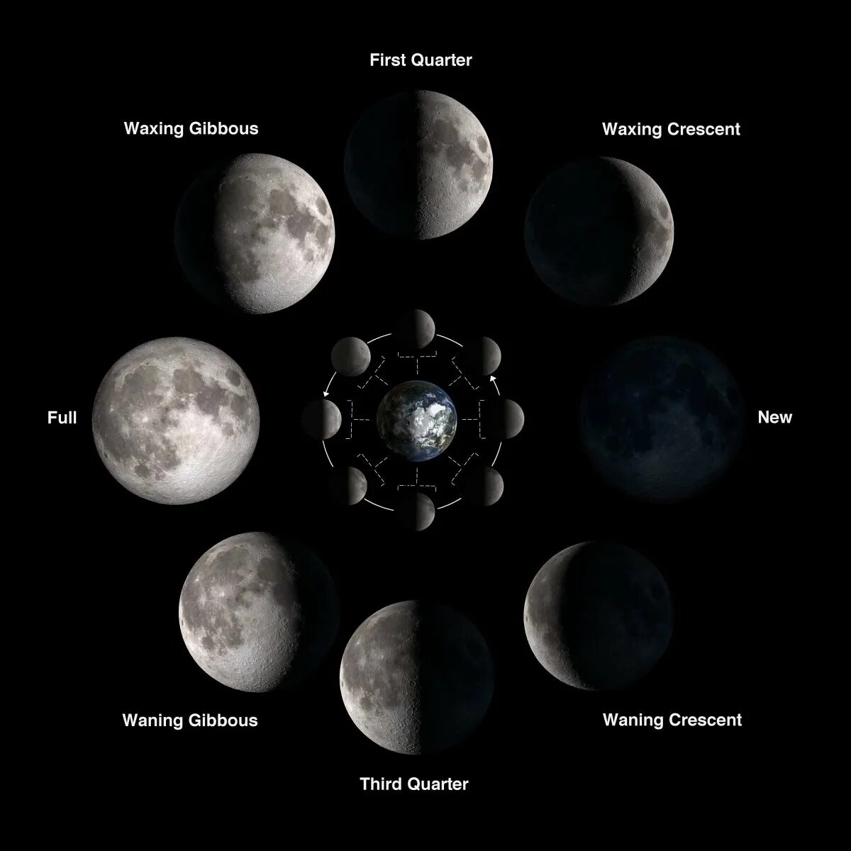 Фазы луны виды. Фаза луны первая четверть. фазы луны phases of the moon. новолуние первая четверть полнолуние и последняя четверть. ф̆̈ӑ̈з̆̈ы̆̈ л̆̈ў̈н̆̈ы̆̈.
