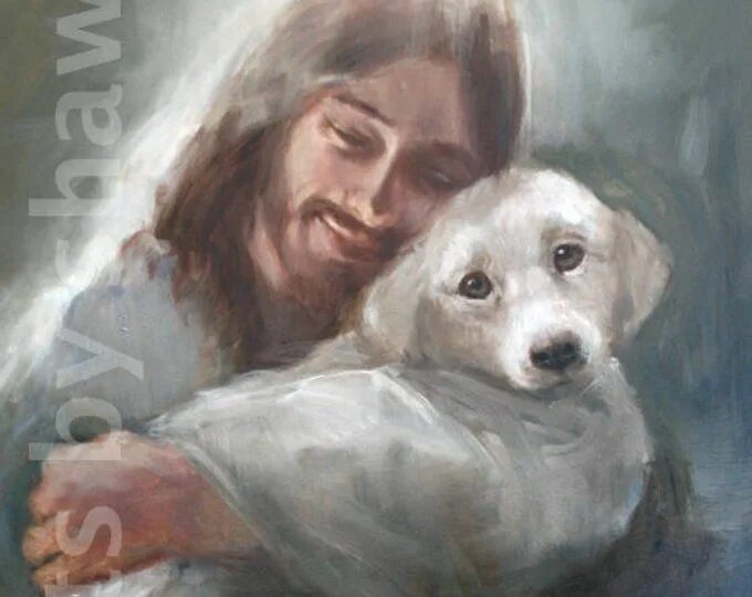 Собака иисус. Собака иисус