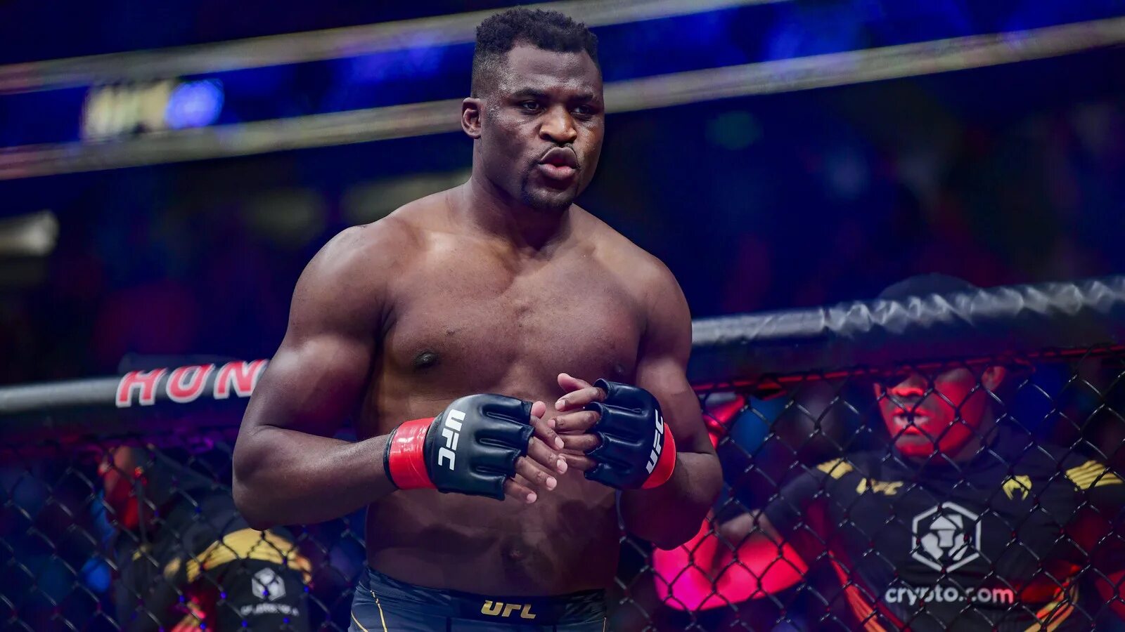 Джошуа нгану прогноз. Francis Ngannou. Фрэнсис Нганну 2013. Франсис Нганну Кертис блейд. Деонтей Уайлдер Нганну.