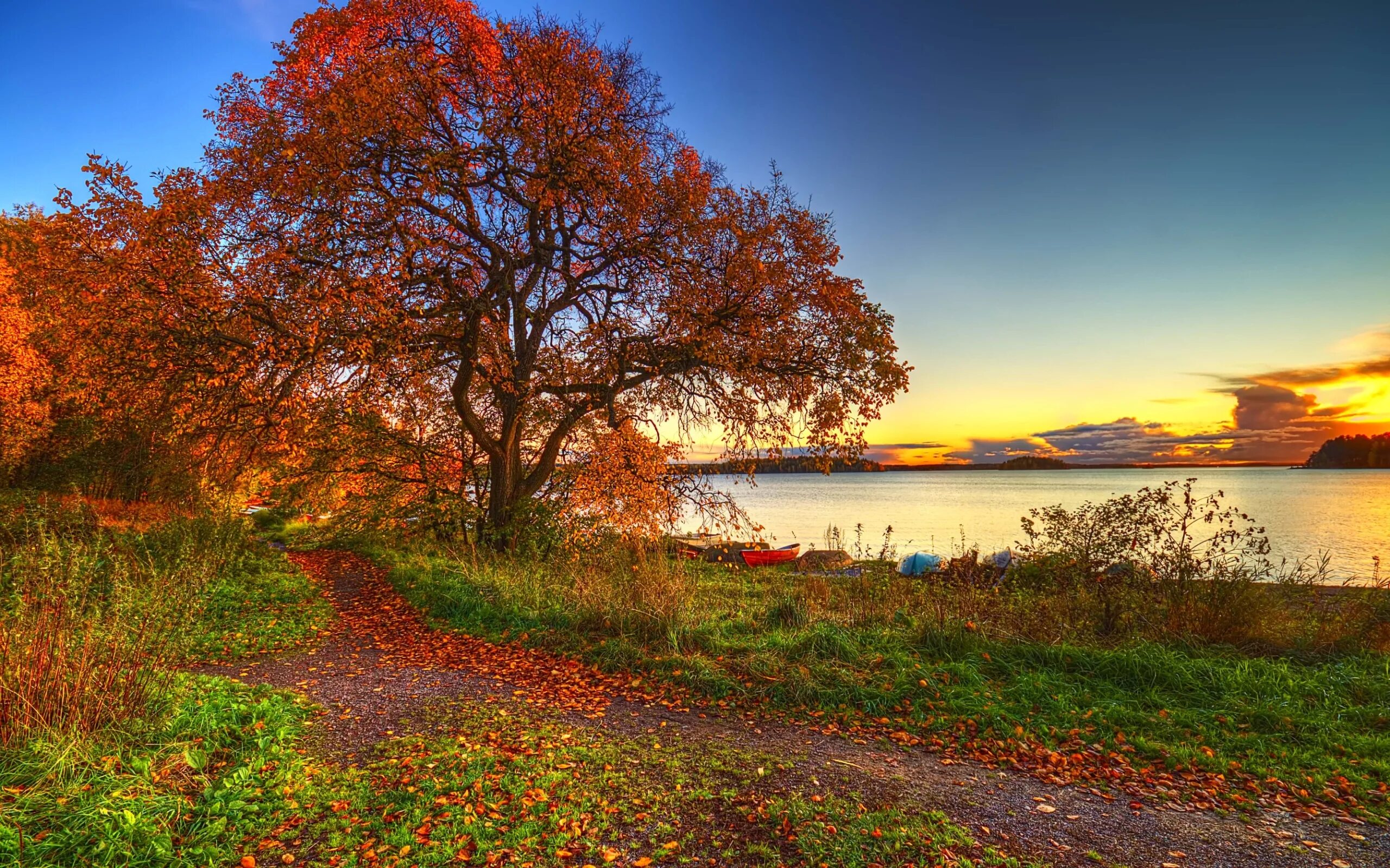 Осенний пейзаж. Красивая осень. Красивый пейзаж. Природа осень. Autumn is beautiful