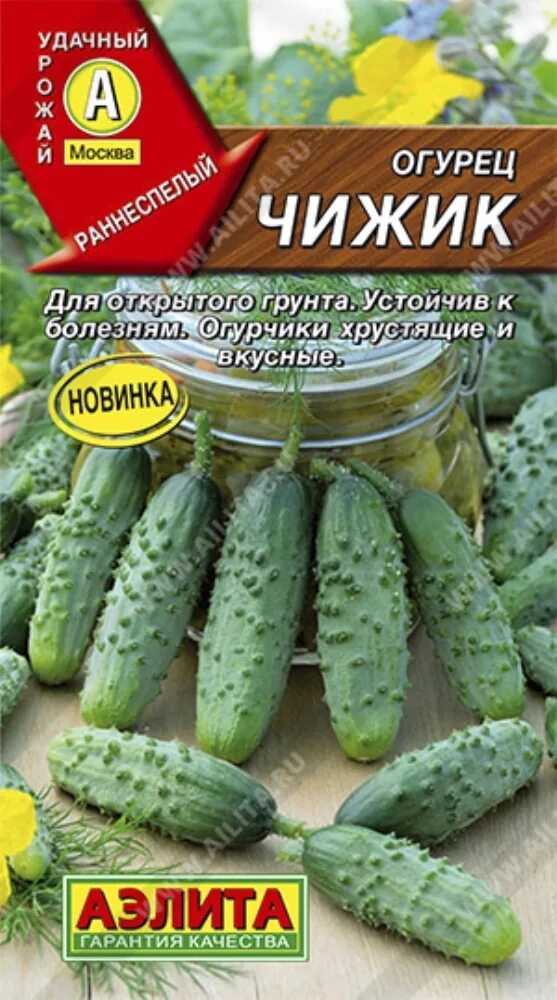 Огурцы сорт чижик. Огурец чижик. семена огурцы чижик. сорт огурцов чижик.