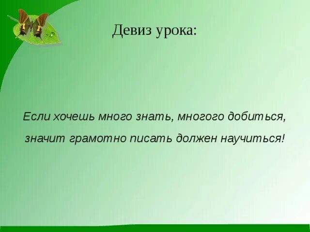 Если хочешь много знать. Девиз урока русского языка. Фото если хочешь много знать многого добиться. Если хочешь много знать многого добиться текст. Если хочешь много знать много добиться песня