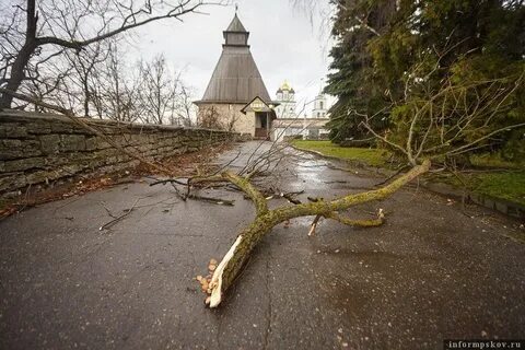 Ветров псков