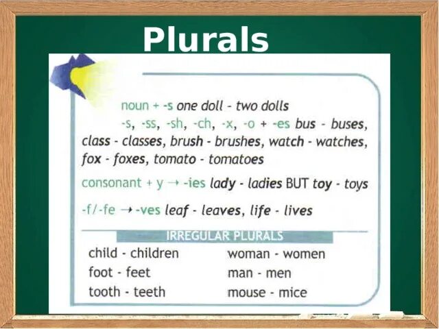 Wordwall plural 3