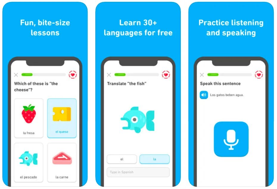 Программа ин дезигн. Language apps. Learn languages application ui design. Ui app learn coding. Applications for learning languages.