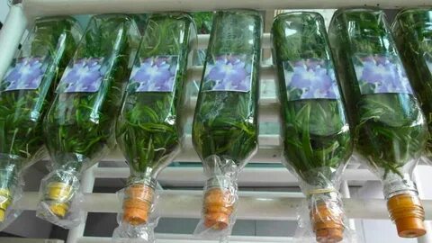 Включи фласка стала