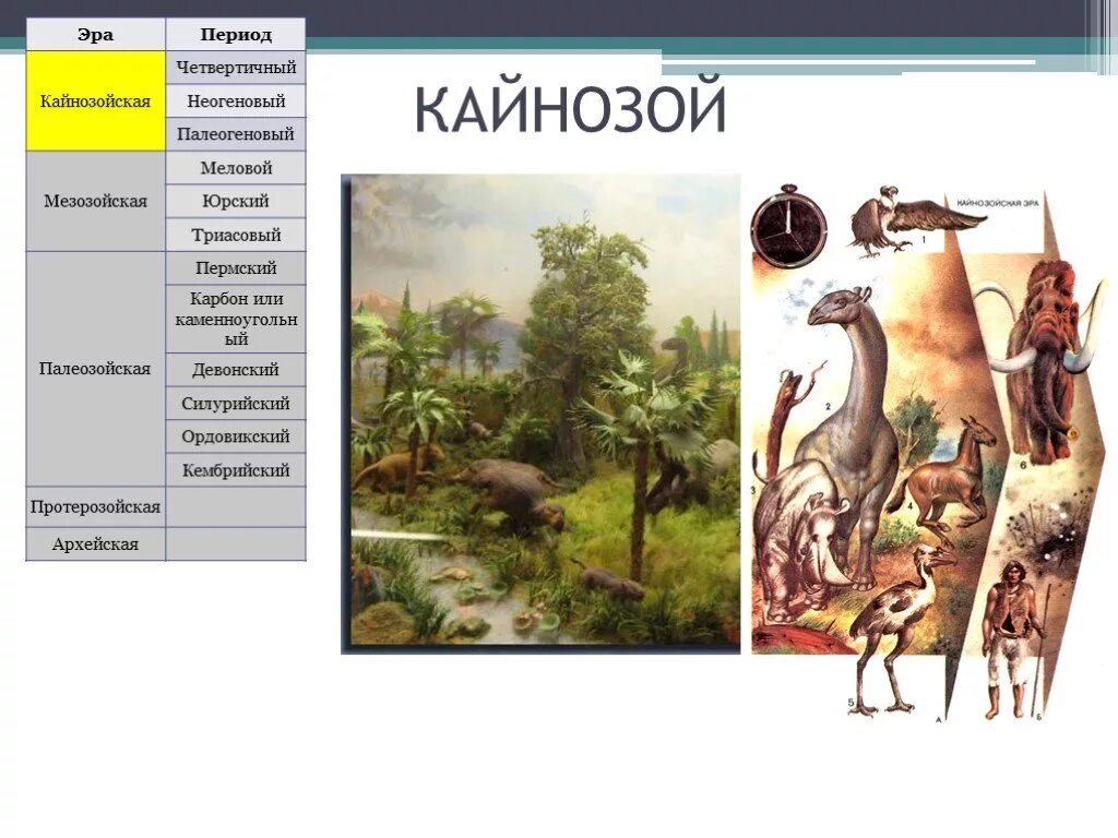 Кайнозойская период таблица. Кайнозой эра периоды. кайнозойская эра периоды схема. кайнозойская эра периоды таблица. четвертичный неогеновый палеогеновый.