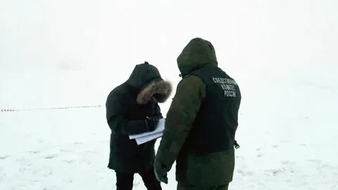 Собака съела женщины