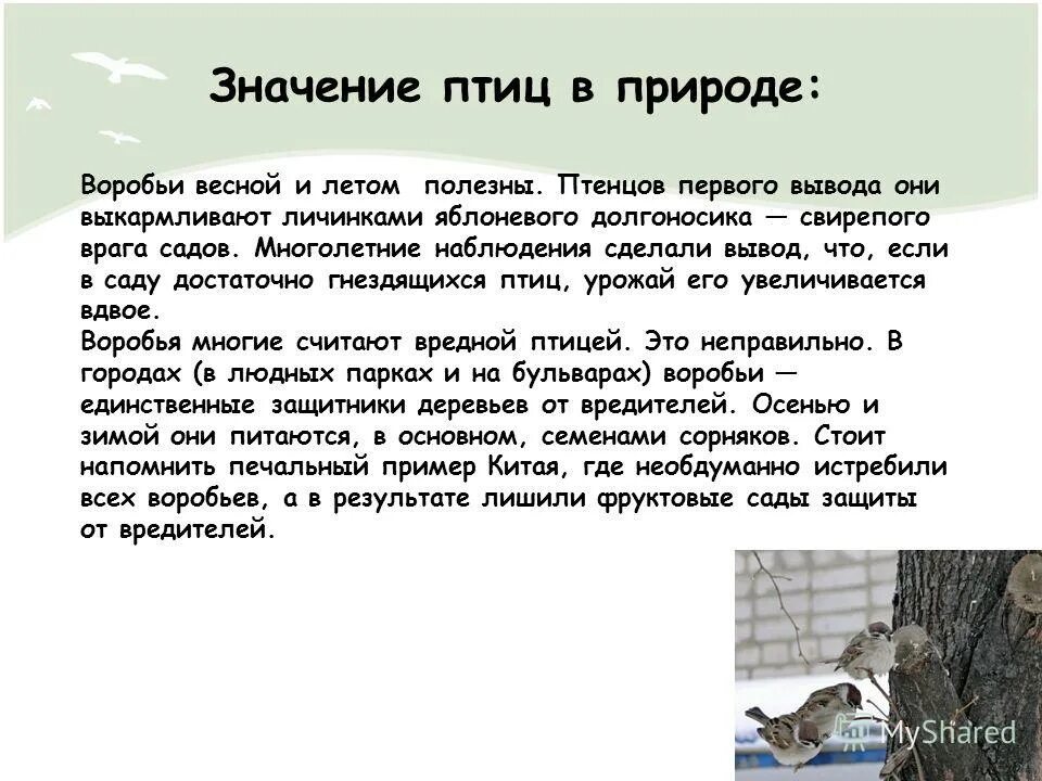 Понаблюдай и сделай вывод. Понаблюдай и сделай вывод