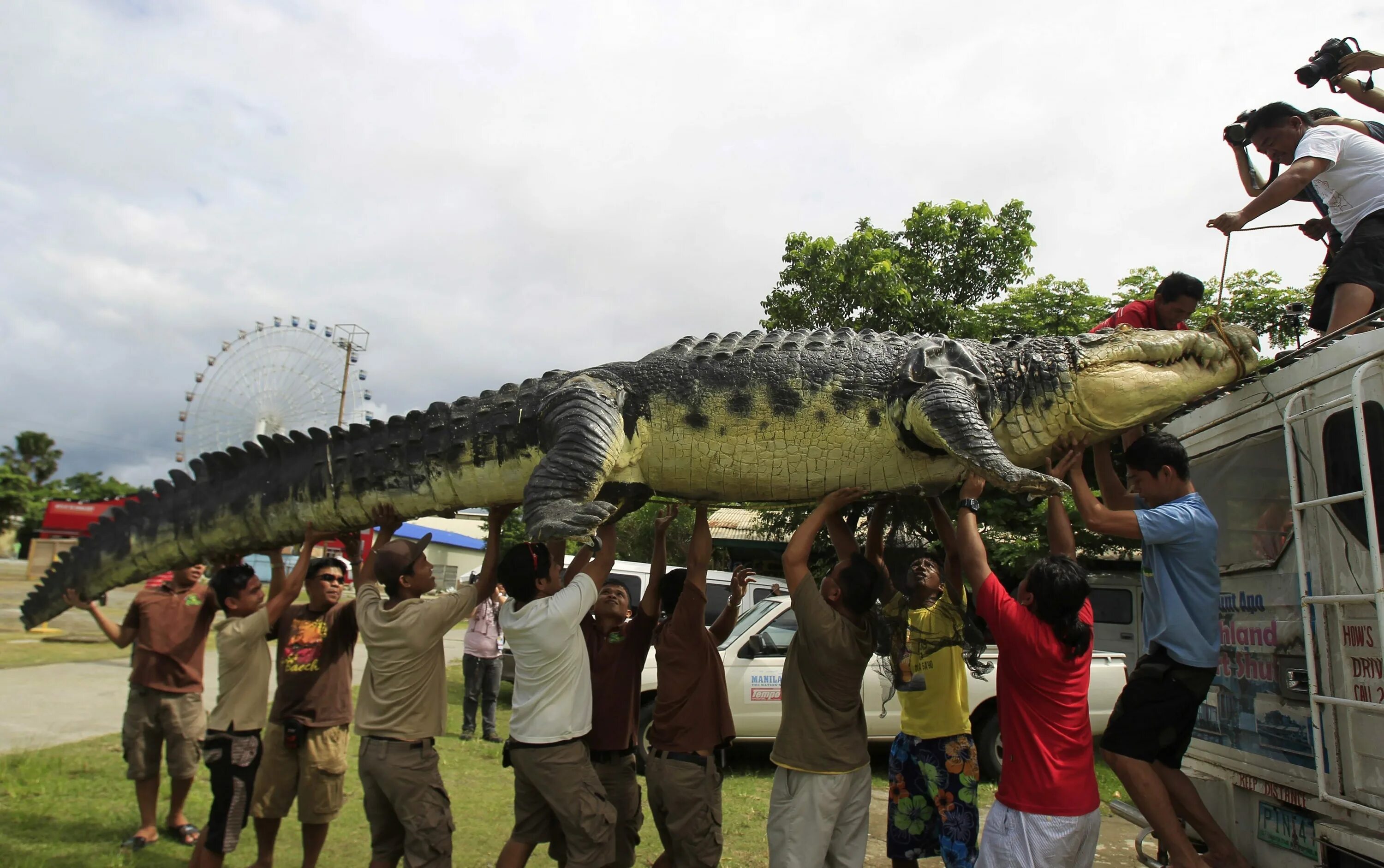 Самый большой аллигатор. Гигантский гребнистый крокодил. Самый большой гребнистый крокодил в мире. Гребнистый крокодил Лолонг. Гребнистый крокодил 7 метров.