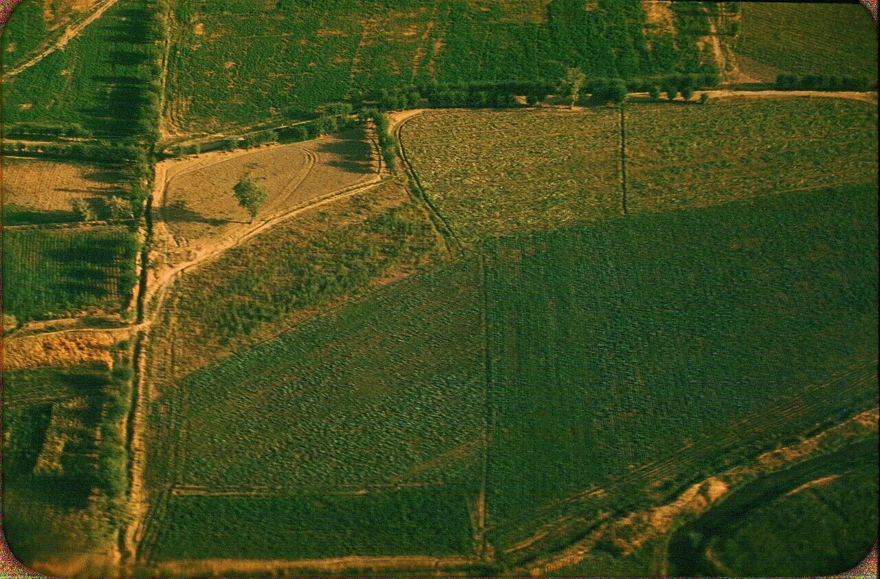 Поле вид со спутника. Снимки полей со спутника. Поле спутник. Леса из космоса. Поля со спутника.