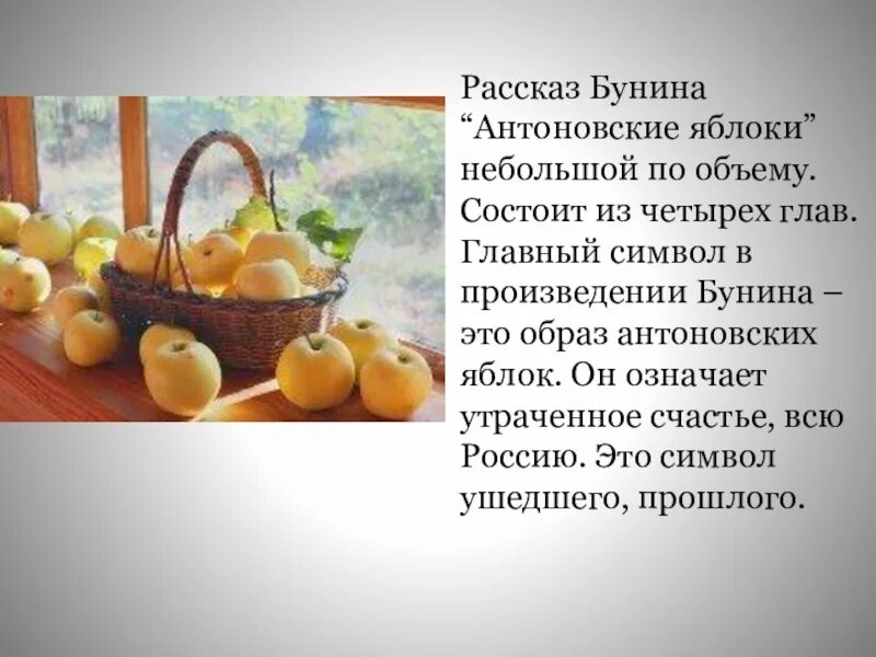 Бунин и. Бунин и. "антоновские яблоки". Композиция рассказа антоновские яблоки. Бунин антоновские яблоки деревня.
