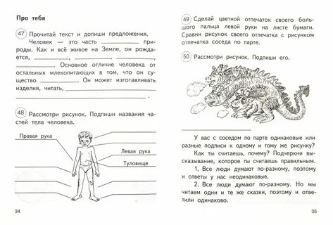 Подпиши рисунки используя слова