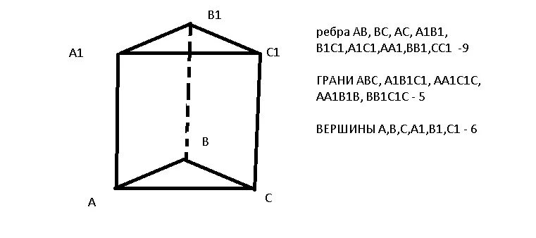 Сколько ребер у четырехугольной призмы. Треугольная Призма основания боковые ребра боковые грани. Грань Призмы ребра и основания треугольной. Треугольная Призма вершины ребра грани. Чертеж треугольной Призмы боковые грани ребра.