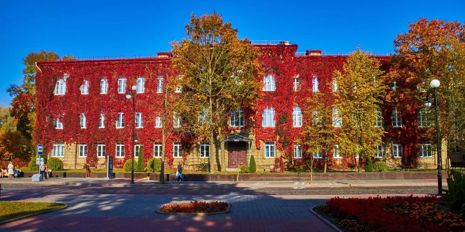 Янки купал. Янки купал. Корпус университета янки купалы гродно. Гродненский государственный университет имени янки купалы. Корпус университета янки купалы гродно.