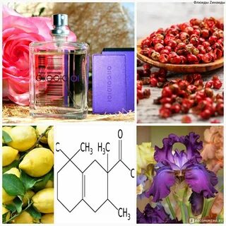 Секрет аромата от молекулы до духов