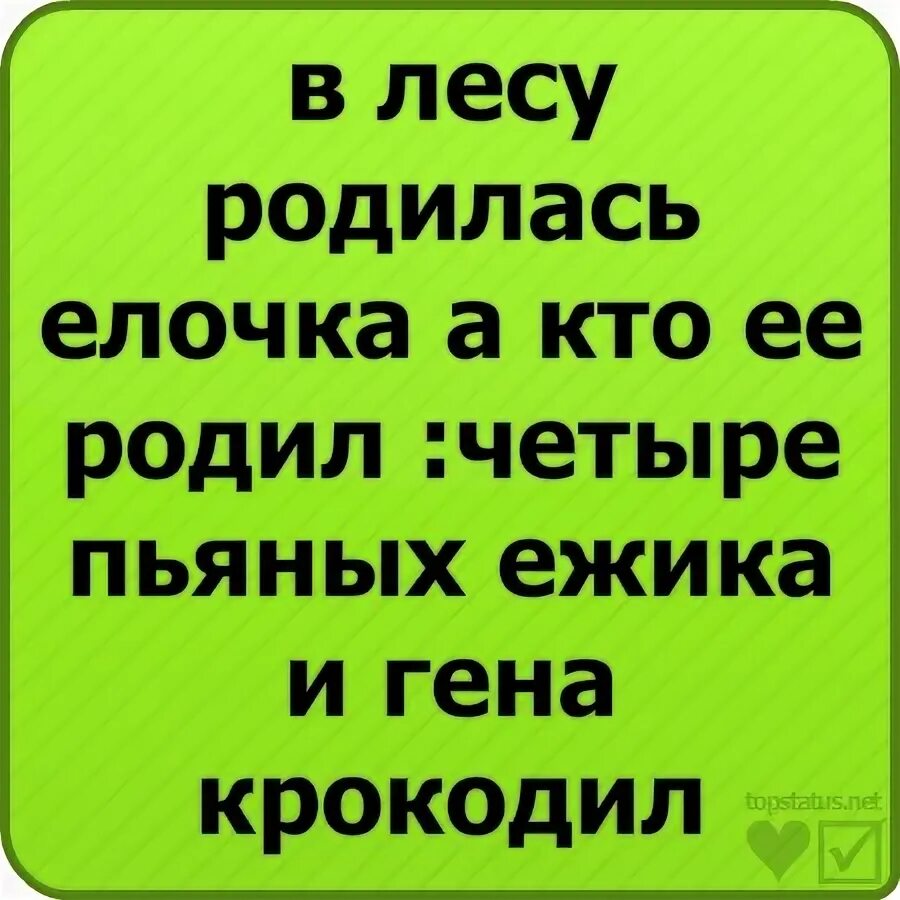 4 пьяных ежика и гена крокодил полная. Кто ее родил 4 пьяных ежика и гена крокодил. в лесу родилась ёлочка четыре пьяных ежика. в лесу родилась ёлочка а кто её родил. в лесу родилась ёлочка приколы.