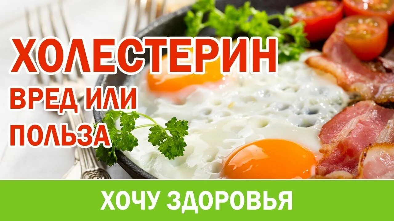 Холестерин вред и польза. Холестерин вред или польза. Польза холестерина.