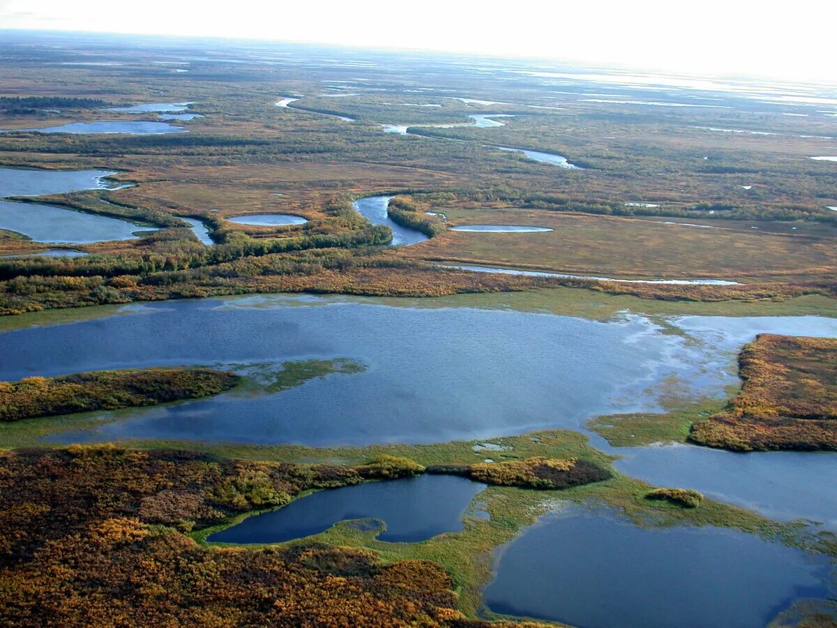 Ненецкий автономный фото. Ненецкий заповедник Малоземельская тундра. Гыданский полуостров тундра. Тундра Ненецкий автономный округ. Природный заповедник Гыданский.