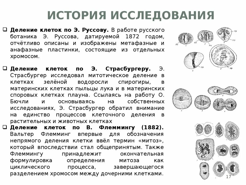 Какая ботаническая наука изучает процесс деления клетки