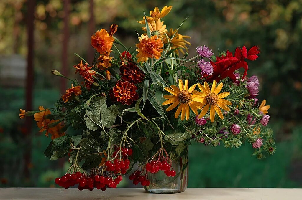 Ариэль бюто цветы осени. Последние цветы октября. Tctyybt wtns. Букеты сентябринки хризантемы. Хризантемы бархатцы.