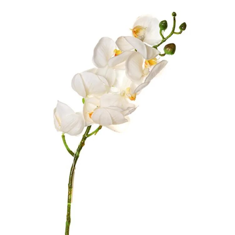 Искусственные цветы. Белые искусственные цветы. Искусственные цветы простые. Искусственные цветы на проволоке.