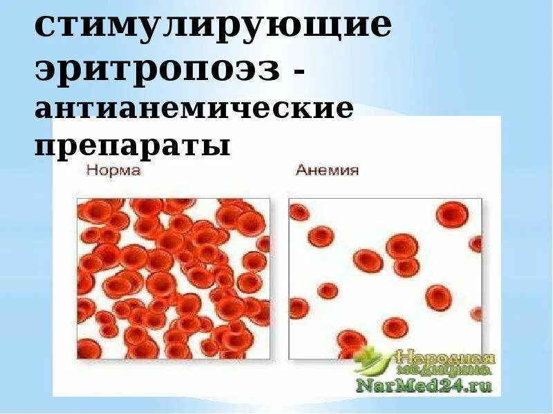 Эритропоэз витамины. Препараты стимулирующие эритропоэз. эритропоэз стимулируют:. средства регулирующие эритропоэз. средства стимулирующие гемопоэз.