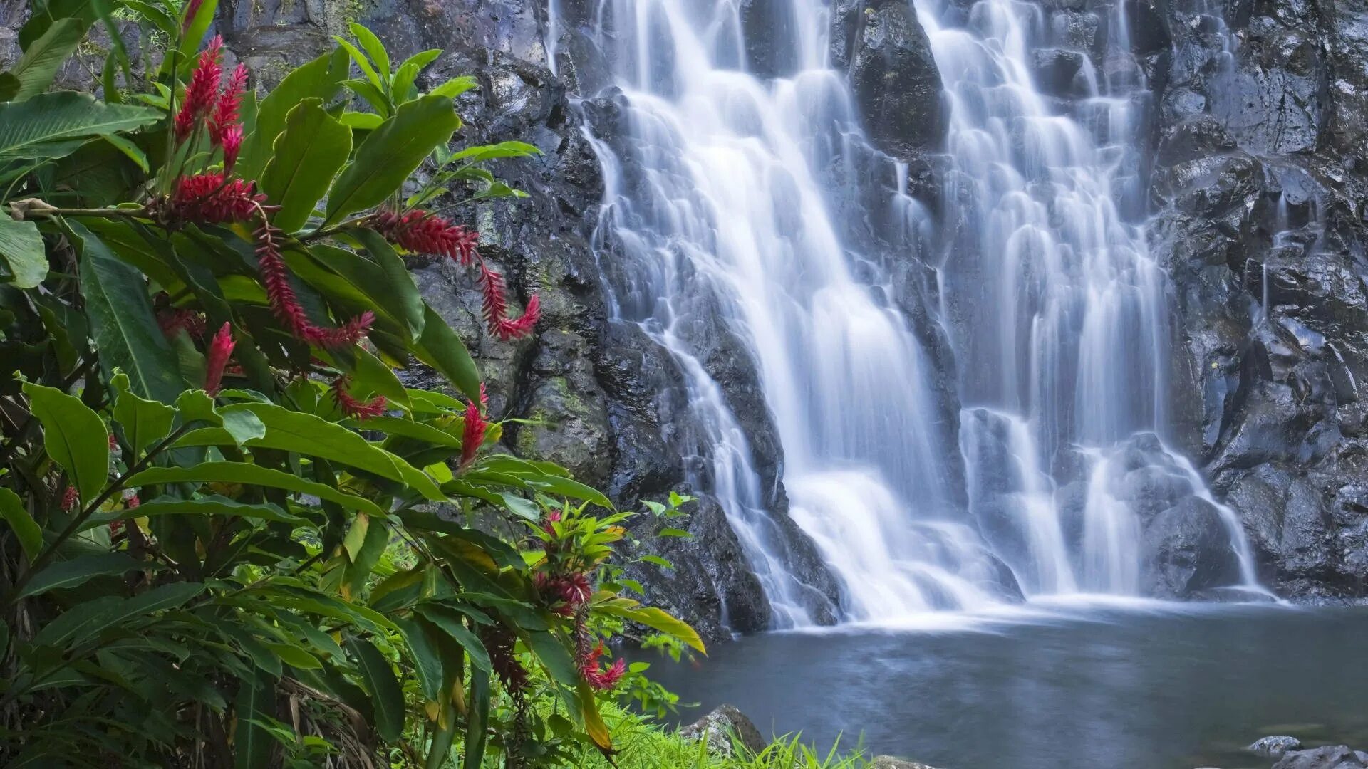 Живая природа водопады. Красивые водопады. Водопад картинки. Картинки на рабочий стол водопад. Обои красивые водопады