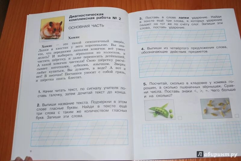 Комплексные работы 4 класс окружающий мир. Комплексные задания для 1 класса. диагностические комплексные работы. комплексная работа 2 класс. диагностические комплексные работы 1 класс.