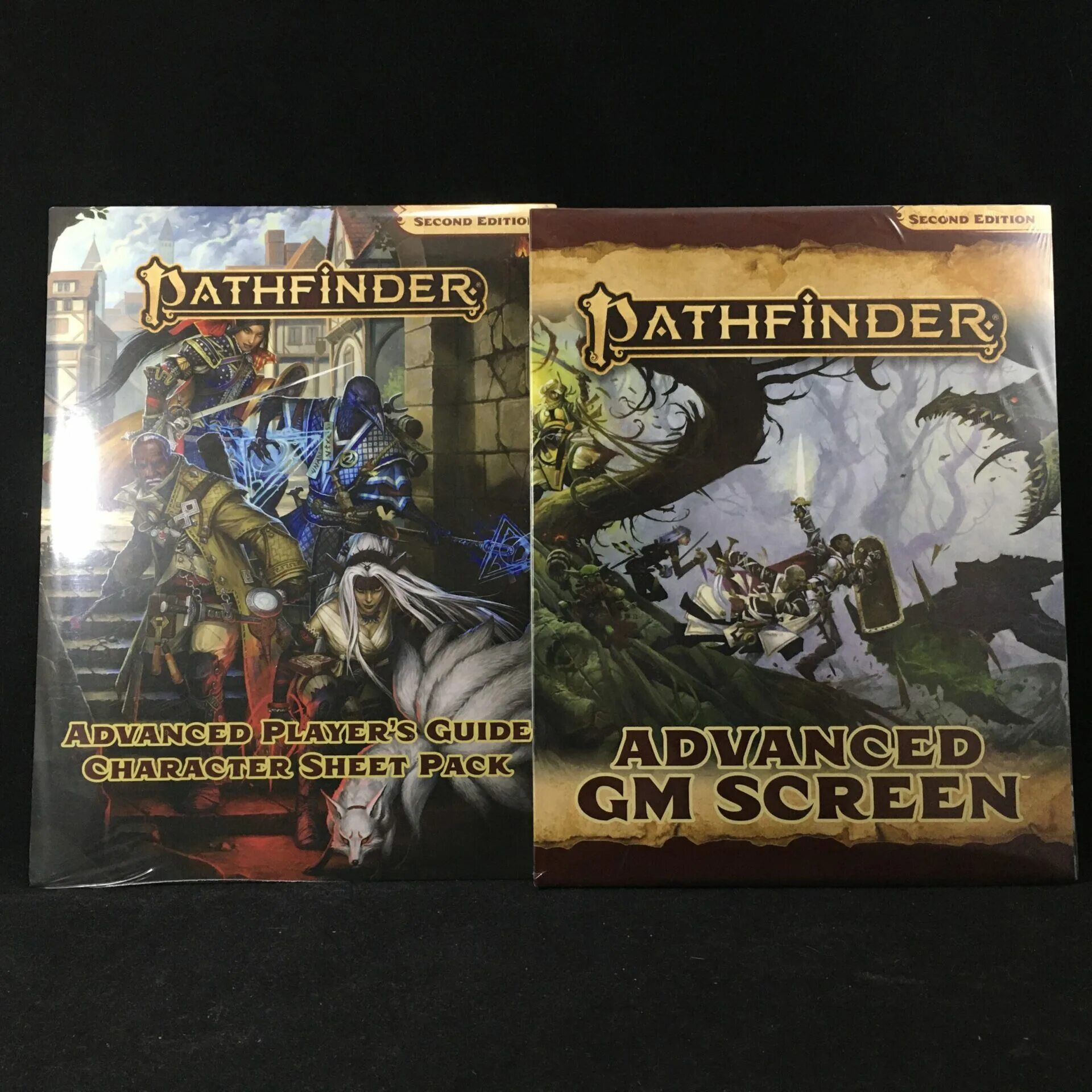 Pathfinder guide. Advanced player&#039;s guide pathfinder. pathfinder 2 pocket edition. pathfinder 2e character sheet. pathfinder 2e character sheets pdf.