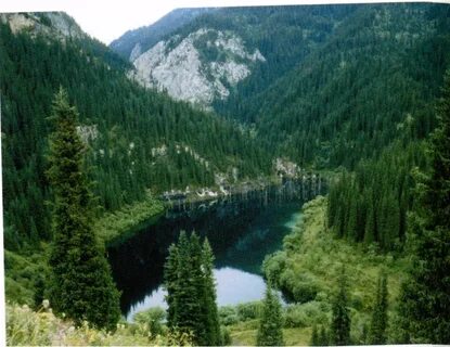 Орысша догги стилі