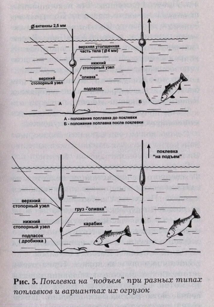 Поплавочная удочка прикормка. Схема поплавочной снасти на карася. Оснастка поплавочной удочки на крупного карася. Снасть для ловли карася на поплавочную удочку летом. Правильная поплавочная снасть на карася схема.