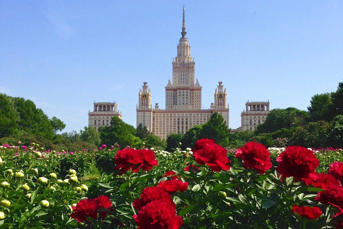 Цветков мгу. Пионы ботсад МГУ. Ботсад МГУ Москва. Ботанический сад МГУ ВДНХ. Бот сад МГУ Воробьевы горы.