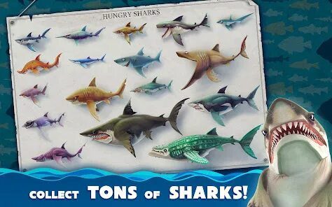 Hungry shark world мегалодон зомби. Хангри шарк мегалодон. Акула из хангри шарк. 5 7. Hungry shark world abyssal shark.