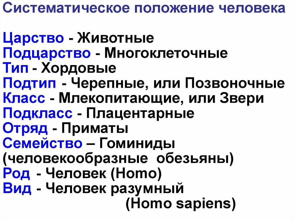 Определить систематическое положение человека. Систематическое положение человека. Систематмческле положение человек. Систематическое подоженние человкк. Систкматичкское пооржение человек.