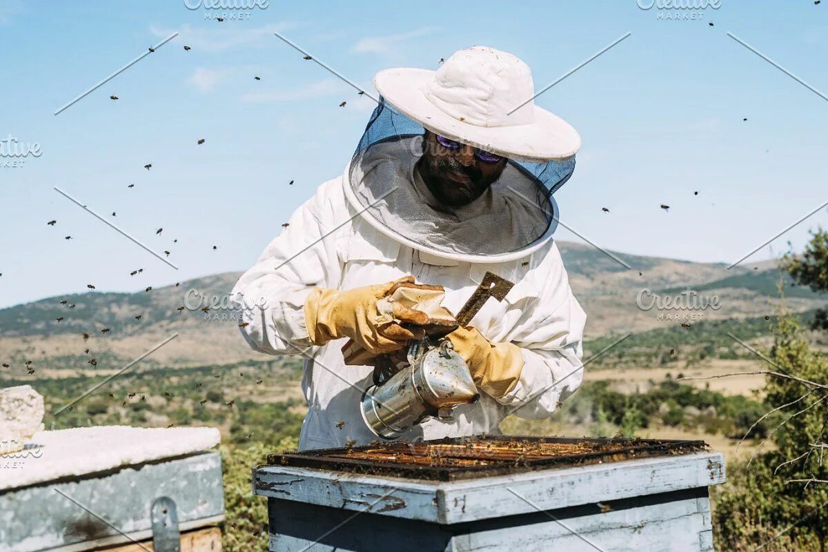 Пчеловод 2025 сша. Пчеловод. пчеловод 2025. the beekeeper 2025. дрон пчеловода.