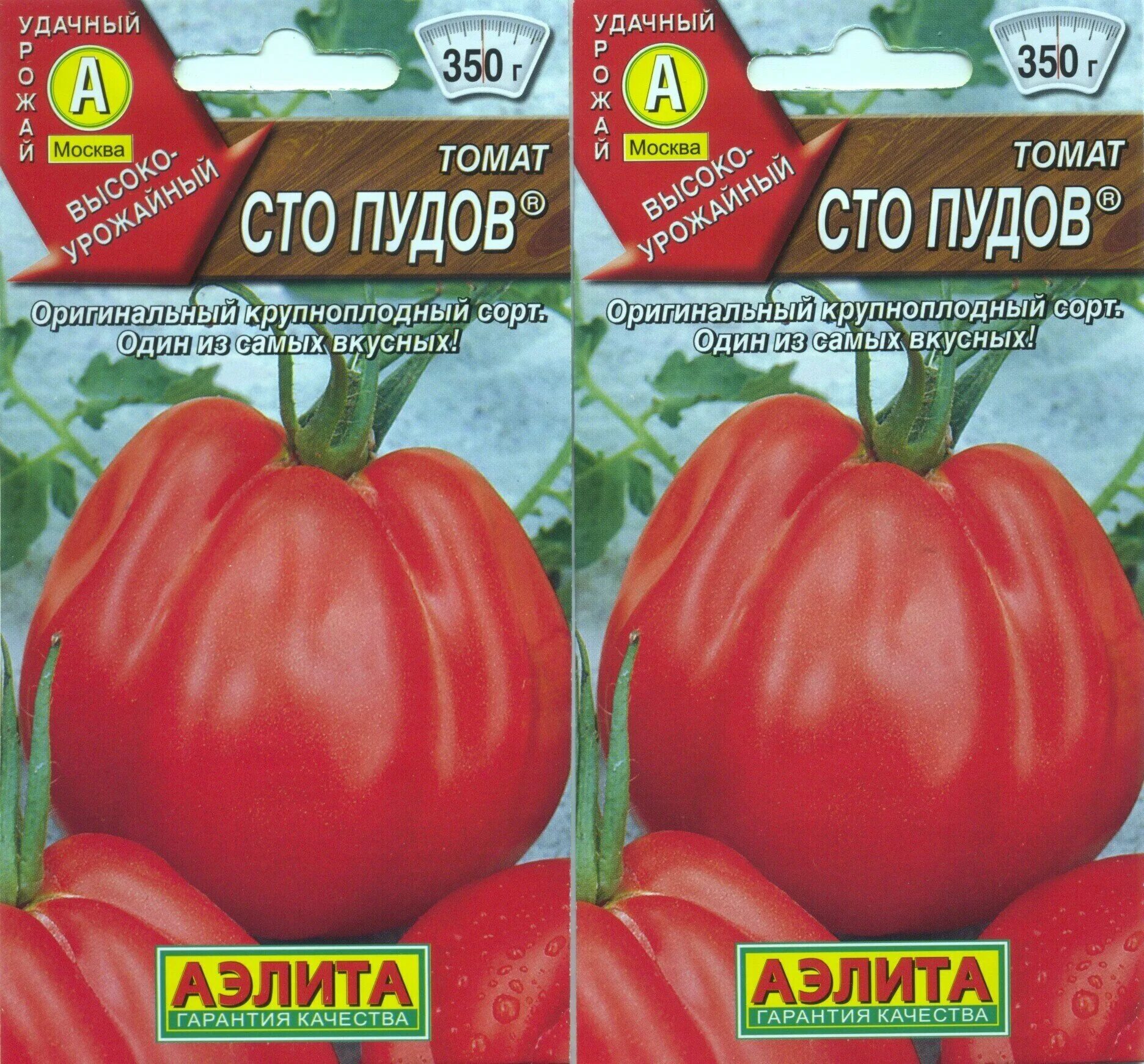 100 пудов томат описание. томат сто пудов характеристика и описание сорта. томат сто пудов семена. томат сто пудов 20шт (аэлита). томат сто пудов характеристика и описание сорта.