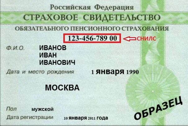 Номер страхового государственного пенсионного страхования. Индивидуальный лицевой счет СНИЛС. Страховое свидетельство государственного пенсионного страхования. Страховой номер индивидуального лицевого счета СНИЛС.