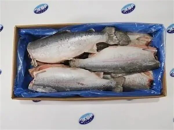 Форель от производителя