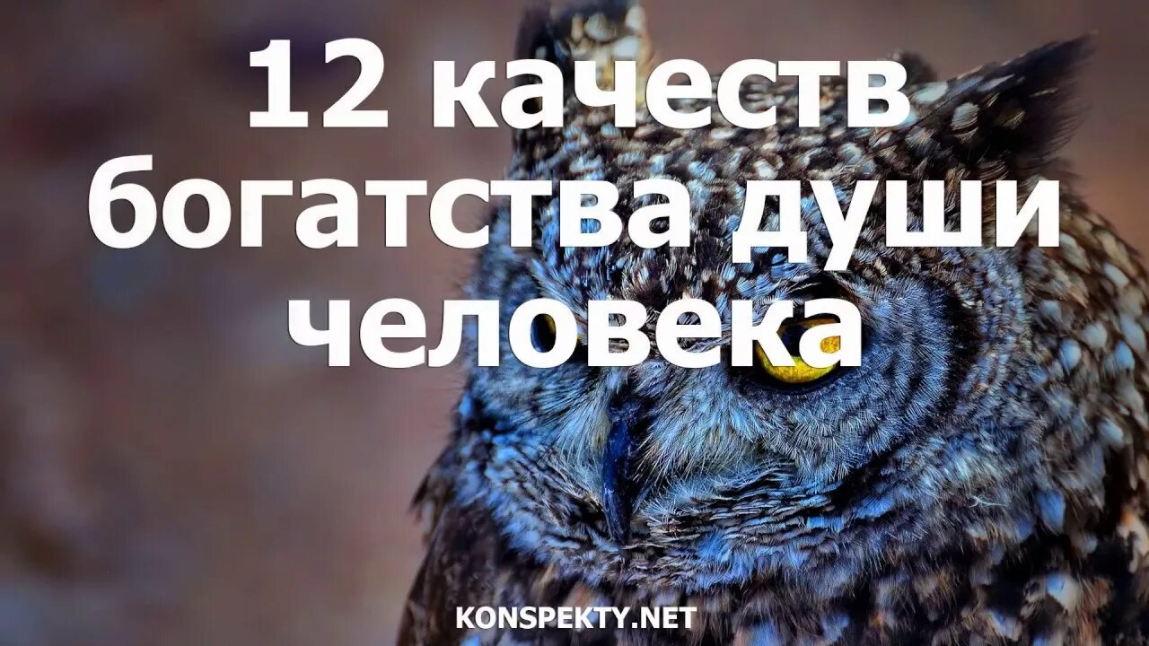 Качества богатства души. Добрые качества богатства души человека. 12 Качеств богатства души человека. Добрые качества которые составляют богатство души человека. Главные качества души