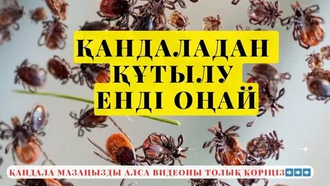 Жасырын камера Черкассы