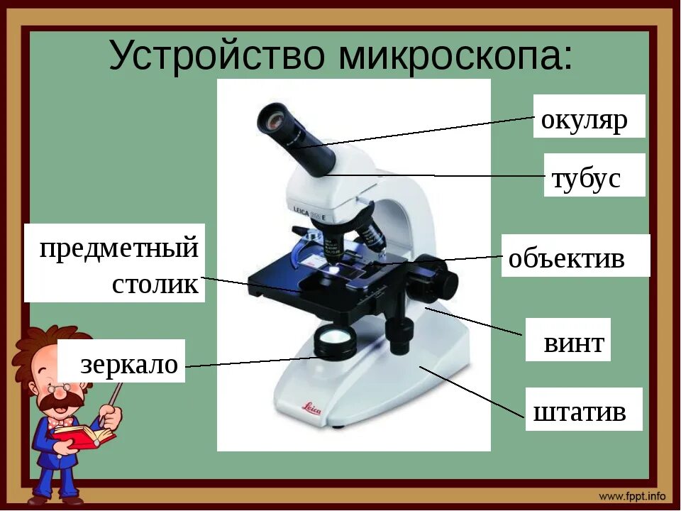 Микроскоп и его части 5 класс биология. Биология 5 кл строение микроскопа. Увеличительные приборы 5 класс биология микроскоп. Строение цифрового микроскопа 5 класс биология. Устройство микроскопа цифровой микроскоп 5 класс биология.