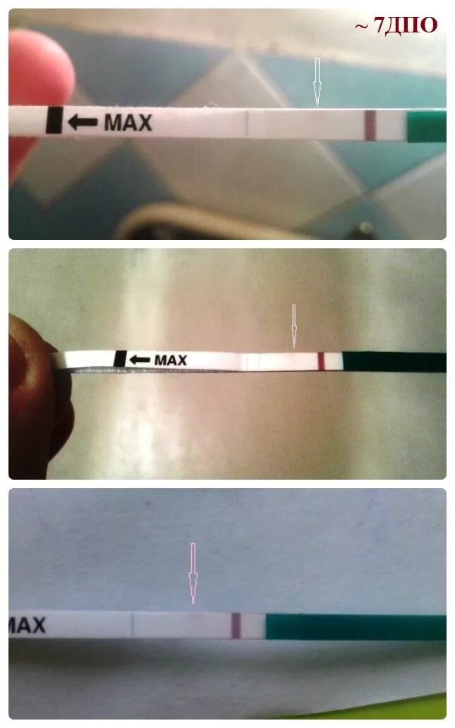 7 дпо покажет ли. 7 день дпо тест. 7 дпо покажет ли. 7 день дпо тест. 7 дпо реагент.